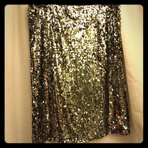 Sequined Skirt